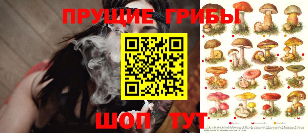 Псилоцибиновые грибы ЛСД Лиски